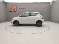 Usata Lancia Ypsilon Gold 71 CV (52 kW) 2019 Avorio chic Utilitaria