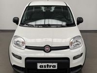 Nuova Fiat Panda S 69 CV (50 kW) 2025 Bianco Utilitaria