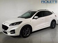 Usata Ford Kuga ST-Line 150 CV (110 kW) 2021 Bianco SUV