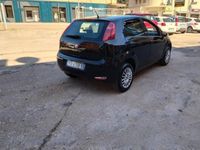 usata Fiat Punto Evo 1.4 8V 5 porte Natural Power Neopatentati