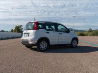 Usata Fiat Panda S 70 CV (51 kW) 2024 Bianco Utilitaria