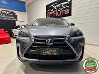 usata Lexus NX300 Hybrid Executive