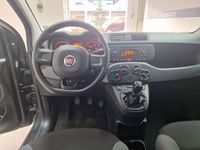 usata Fiat Panda 1.2 Easy