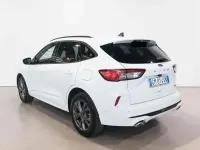 Usata Ford Kuga ST-Line X 154 CV (113 kW) 2023 Bianco SUV