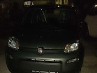 Usata Fiat Panda S 69 CV (50 kW) 2024 Utilitaria