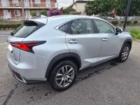 Usata Lexus NX300h Business Edition 155 CV (114 kW) 2019 Argento SUV