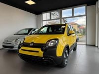 Usata Fiat Panda Cross Cross 70 CV (51 kW) 2025 Verde Utilitaria