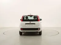 Usata Fiat Panda 69 CV (50 kW) 2020 Bianco Utilitaria