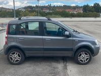 Usata Fiat Panda 4x4 69 CV (50 kW) 2011 Grigio Utilitaria
