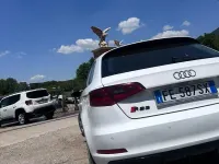 Usata Audi A3 125 CV (91 kW) 2017