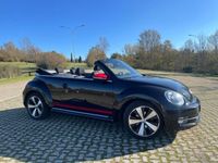 usata VW Maggiolino Cabrio 2.0 TDI Sport BlueMotion Technology del 2015 usata a Bologna