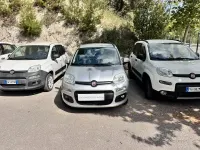 Usata Fiat Panda Easy 80 CV (58 kW) 2014 Grigio Utilitaria