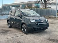 Nuova Fiat Panda Cross Cross 65 CV (47 kW) 2025 Verde Utilitaria
