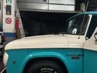 Usata Dodge D100 1960 Bluazzurro Pick-up