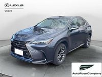 Usata Lexus NX300 Business Edition 243 CV (178 kW) 2023 Grigio SUV