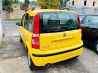 Usata Fiat Panda Dynamic 60 CV (44 kW) 2009 Giallo Utilitaria