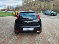 usata Fiat Punto 1.2 8V 5 porte Street