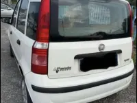 Usata Fiat Panda Dynamic 60 CV (44 kW) 2009 Bianco Utilitaria