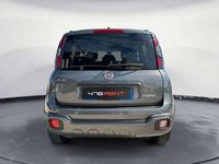 usata Fiat Panda Cross 1.0 FireFly S&S Hybrid