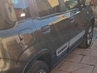 Usata Fiat Panda Cross Cross 95 CV (69 kW) 2018 Utilitaria