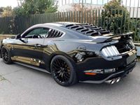 usata Ford Mustang GT Shelby 5.0 V8 TiVCT auto GPL