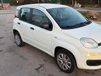 Usata Fiat Panda 2017 Bianco Utilitaria