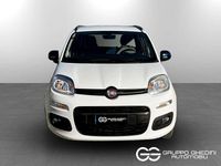 Usata Fiat Panda 69 CV (50 kW) 2016 Other Utilitaria