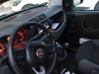 Usata Fiat Panda 95 CV (69 kW) 2017 Grigio Utilitaria