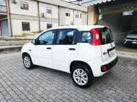Usata Fiat Panda Easy 84 CV (61 kW) 2020 Bianco Utilitaria