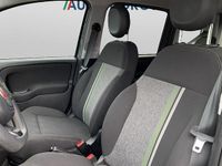 Usata Fiat Panda Cross Cross 70 CV (51 kW) 2020 Grigio Utilitaria