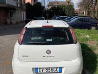 Usata Fiat Punto 77 CV (56 kW) 2014 Bianco Utilitaria