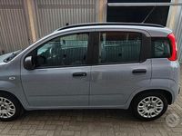 Usata Fiat Panda 69 CV (50 kW) 2017 Utilitaria