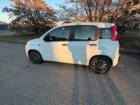 Usata Fiat Panda 69 CV (50 kW) 2015 Bianco Utilitaria