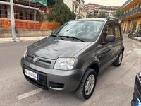 Usata Fiat Panda 4x4 Climbing 69 CV (50 kW) 2010 Grigio Utilitaria