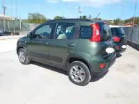 Usata Fiat Panda 4x4 S 75 CV (55 kW) 2015 Verde Utilitaria