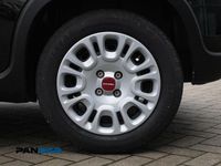 Usata Fiat Panda S 70 CV (51 kW) 2024 Nero Utilitaria
