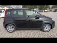 usata Fiat Panda 2ª serie NUOVA My24 1.0 70cv Hybrid