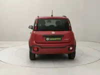 Usata Fiat Panda Cross Cross 70 CV (51 kW) 2024 Rosso Utilitaria