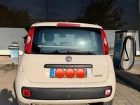 Usata Fiat Panda 2012 Utilitaria