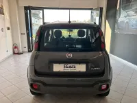 Usata Fiat Panda Cross Cross 69 CV (50 kW) 2020 Grigio Utilitaria