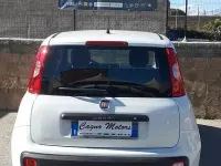 Usata Fiat Panda Easy 95 CV (69 kW) 2018 Bianco Utilitaria