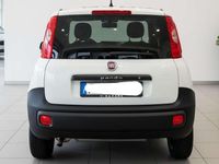 Usata Fiat Panda 80 CV (58 kW) 2016 Bianco Utilitaria
