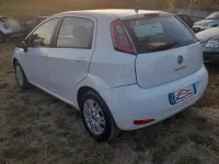 Usata Fiat Punto Lounge 85 CV (62 kW) 2012 Bianco Utilitaria
