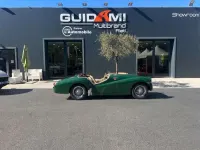 Usata Triumph TR3 95 CV (69 kW) 1956 Verde Cabrio