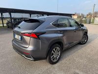Usata Lexus NX300h Business Edition 155 CV (114 kW) 2019 Grigio SUV