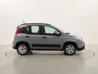 Usata Fiat Panda City Life 69 CV (50 kW) 2022 Grigio Utilitaria