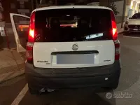 Usata Fiat Panda 69 CV (50 kW) 2006 Bianco Utilitaria