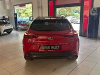 Usata Lexus UX Sport Line 199 CV (146 kW) 2024 Other SUV