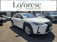 Usata Lexus UX 250h Business Edition 152 CV (111 kW) 2020 Bianco SUV