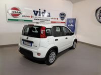 Usata Fiat Panda S 69 CV (50 kW) 2023 Bianco Utilitaria
